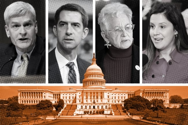 PERSPECTIVES: Behind the Curtain of Congressional Action in 2025, Will ...